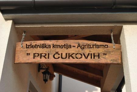 Izletniška kmetija pri Čukovih